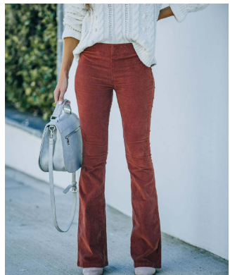 Chloé - Pantalon Flare Velours